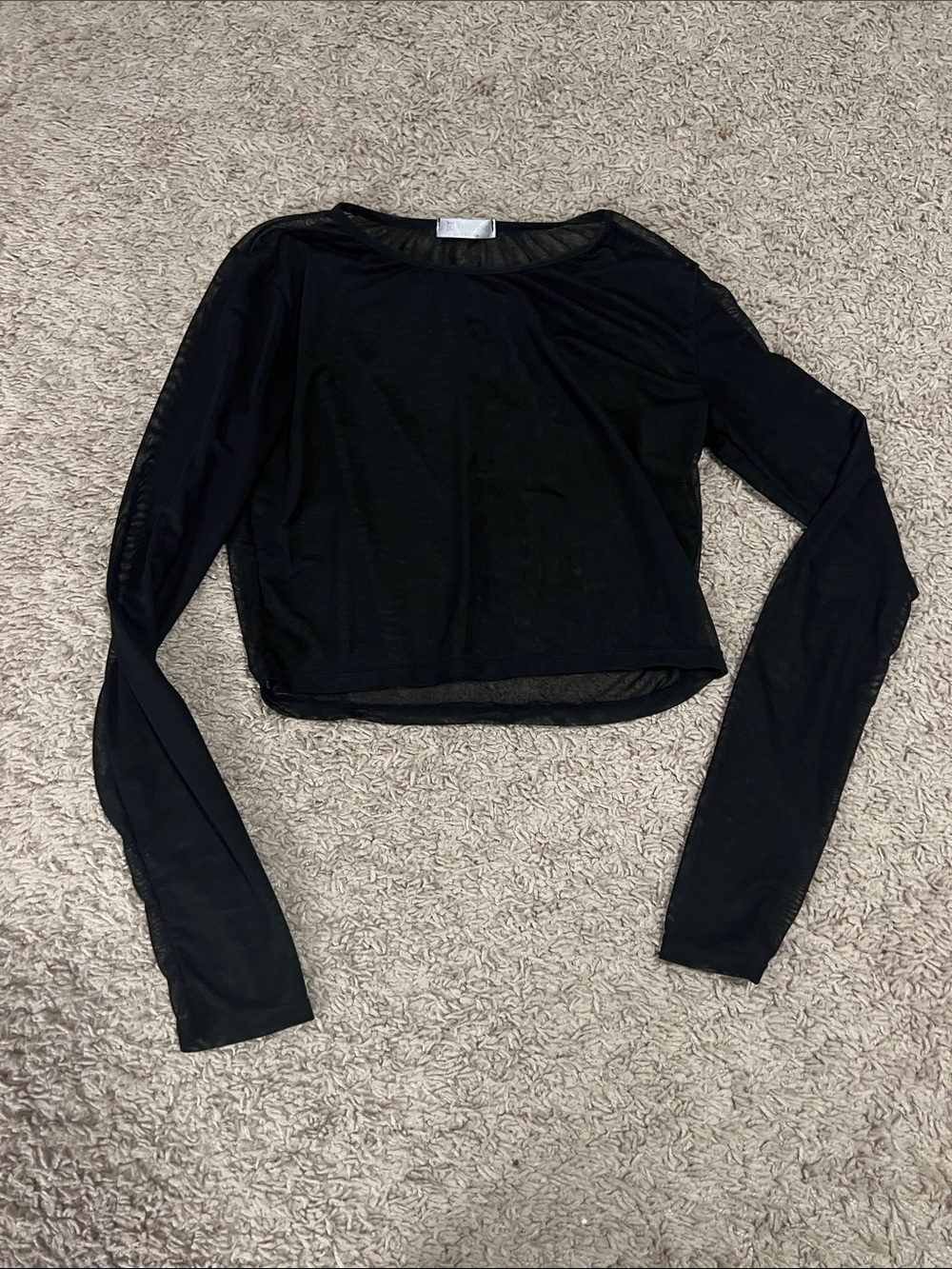 Sheer Long Sleeve Black Crop Top
